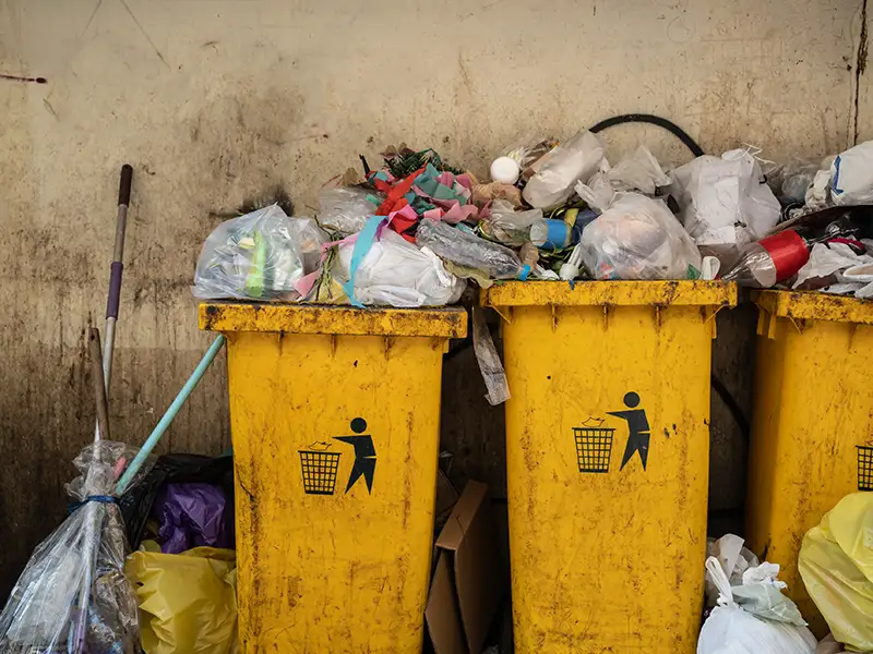 Mixed solid waste