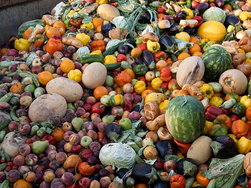 Organic Waste